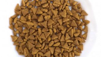 מזון לחתולים ארוז בשקית פסגור 3 ק"ג