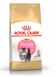 רויאל קנין אוכל לחתולים גורים מגזע  פרסי – עוף 4 ק"ג – אוכל לגורי חתולים