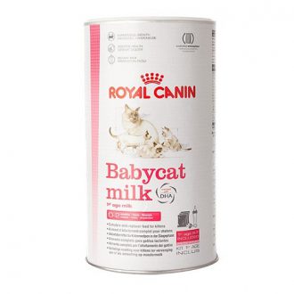 אבקת חלב תחליף חלב לגורי חתולים – רויאל קנין 300 גרם