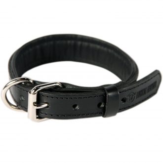 קולר עור מרופד לכלב Leather Dog Collar