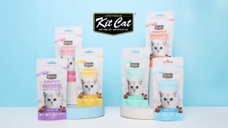 קיט קט חטיף לחתולים בצורת כריות  במגוון טעמים לבחירה 60 גרם Kit Cat Purrfect