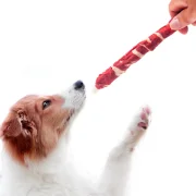 פטסלנד חטיף לכלב רול בקר ודג קוד 1 במארז 30 ס''מ - Pets Project